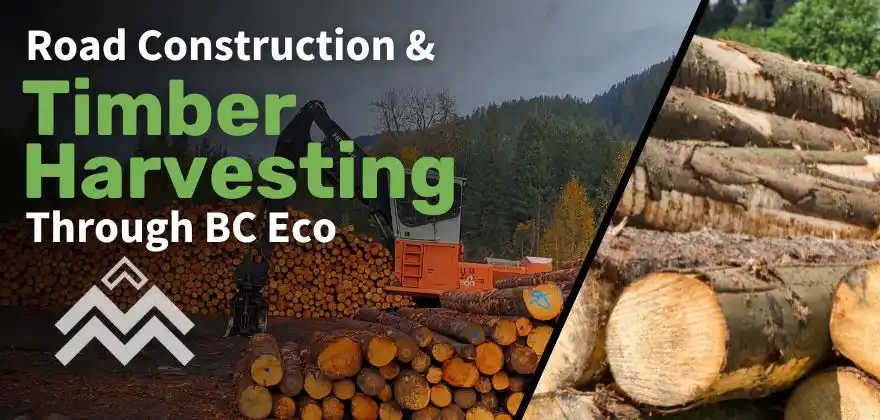 The Role of Road Construction for Timber Harvesting