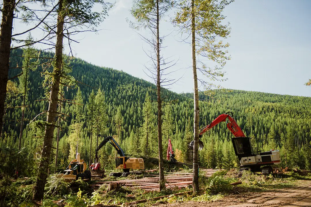 BC Eco Forestry Solutions Tree Harvesting