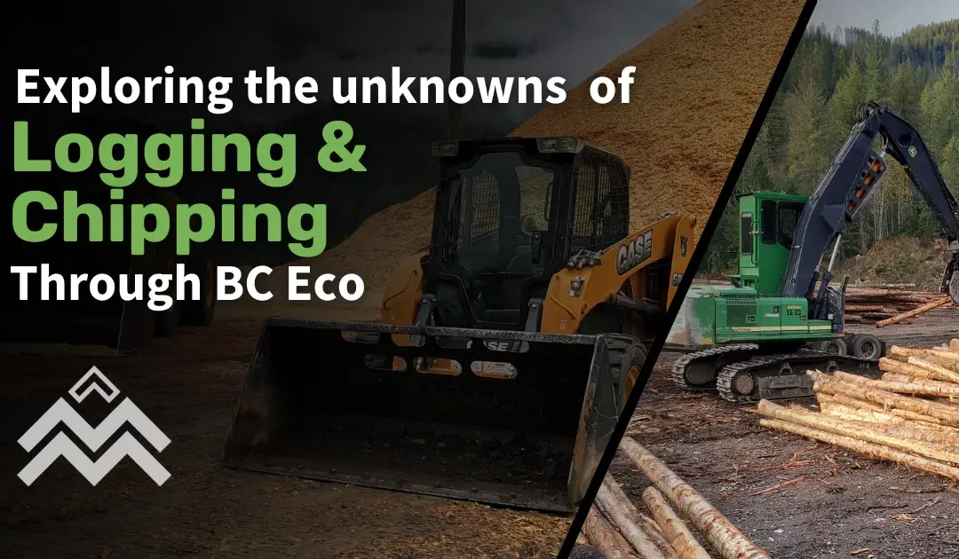 Exploring the Lesser Known World of Chipping in the Logging Industry