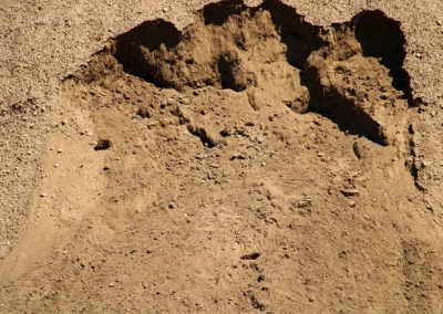 BC Eco Industrial Services Half Inch Screened Topsoil - 02