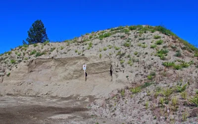 Tandem Dump Truck Loads of Road Gravel for Sale